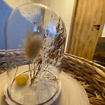 Apartman Vraz U Pisku Písek
