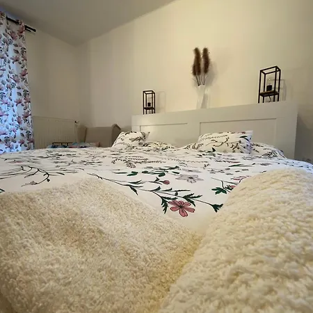 Apartment Vraz U Pisku Pisek (South Bohemian)