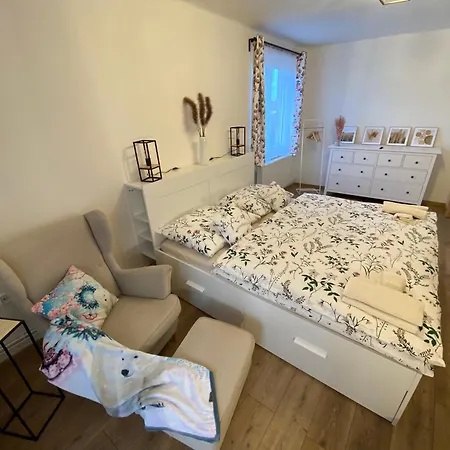 Vraz U Pisku Apartment Pisek (South Bohemian)